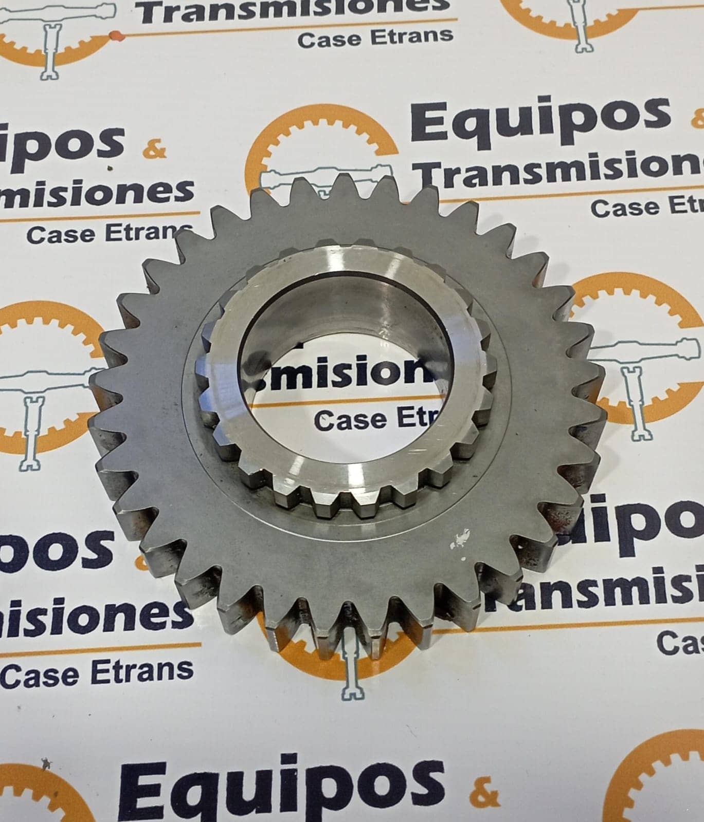 Piñón - 138969