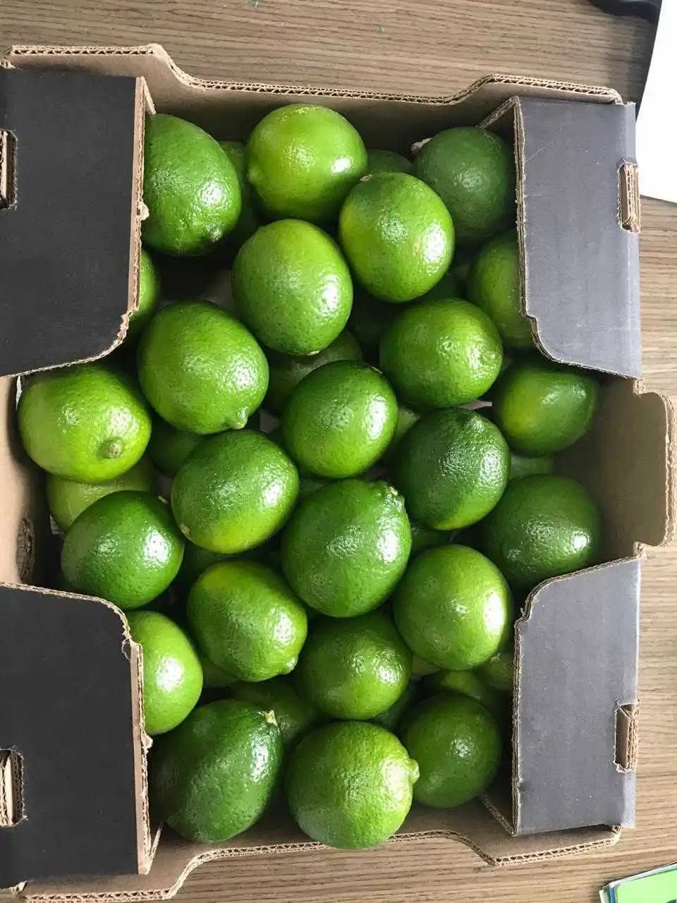 Limón Tahití Agroindefuturo X Kg