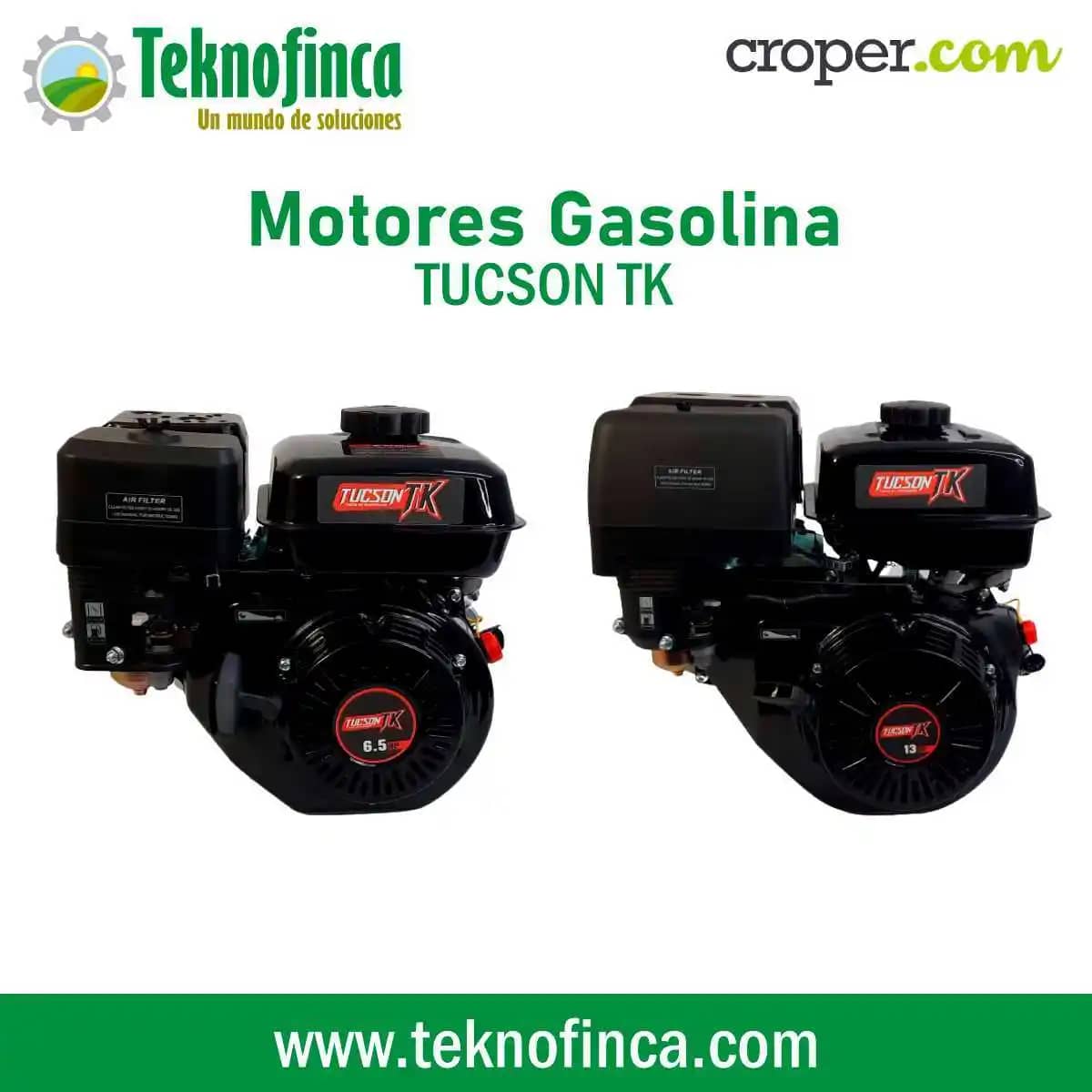 Motor Gasolina TUCSON TK - vehículo automotor