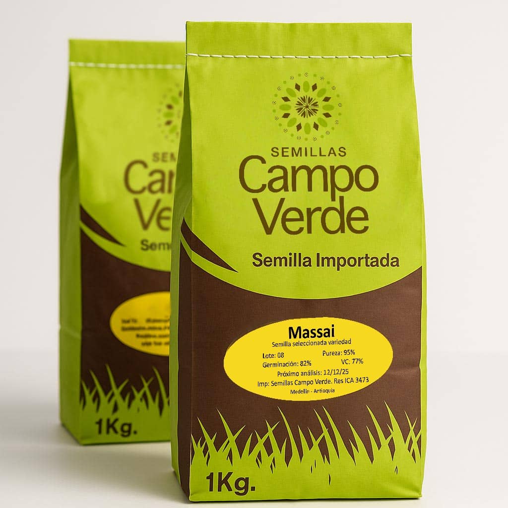 Semilla de pasto Panicum Massai – Pureza 95% – VC 77% – Importada de Brasil