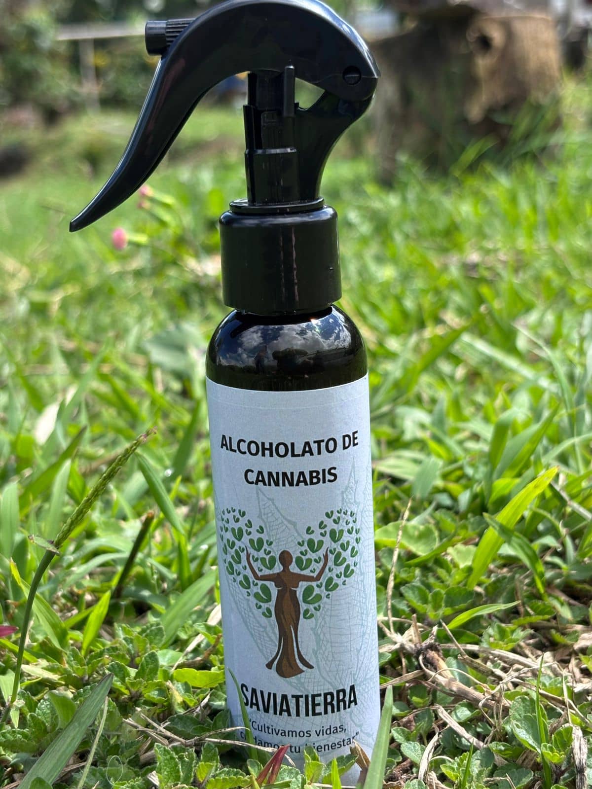 Alcoholato Natural de Cannabis 120ml | Dolores Musculares y Articulares