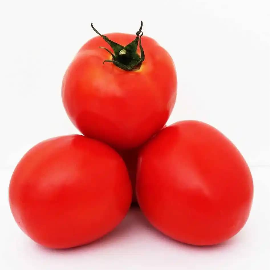 Semilla de Tomate Hibrido Norty F1 x 1000 Uni - Impulsemillas