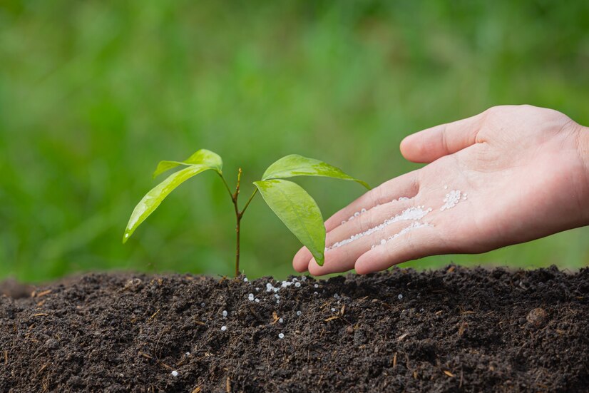 Fertilizantes y enmiendas