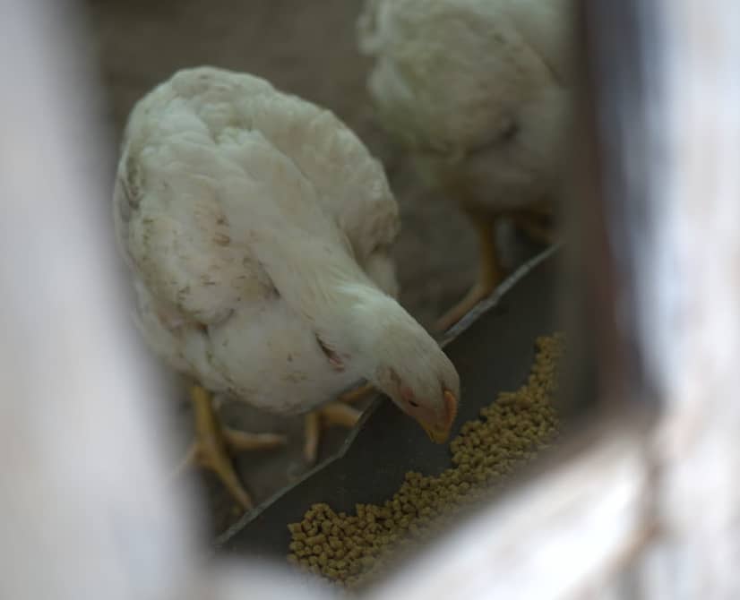 Captura de pantalla 2024-12-10 174859.png