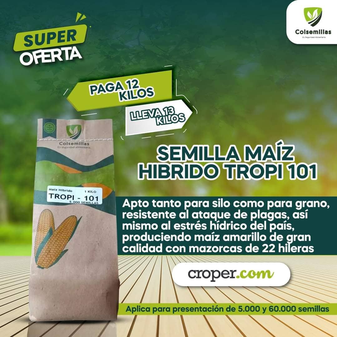 Semilla Maíz Híbrido Tropi 101 x 60.000 semillas