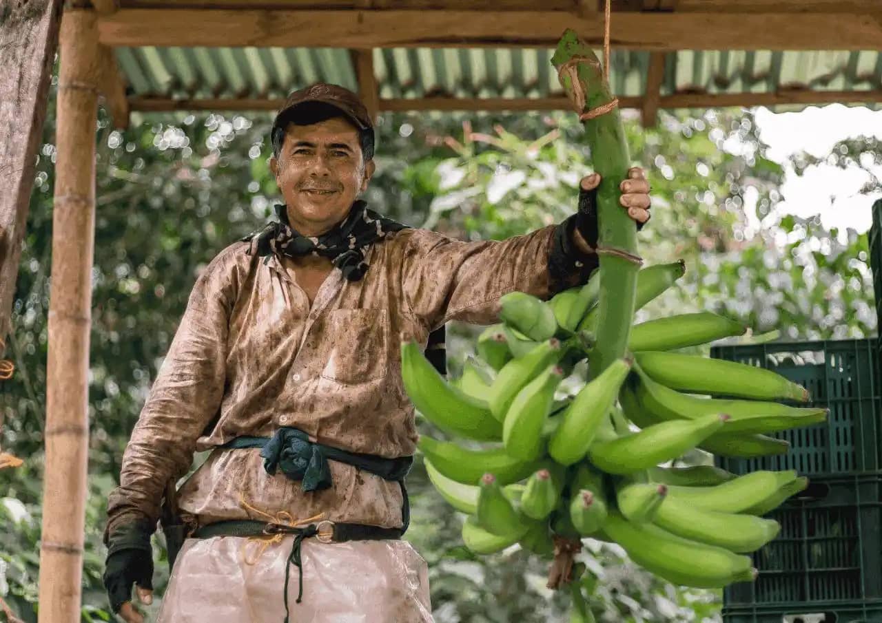 Productor Comsab.png