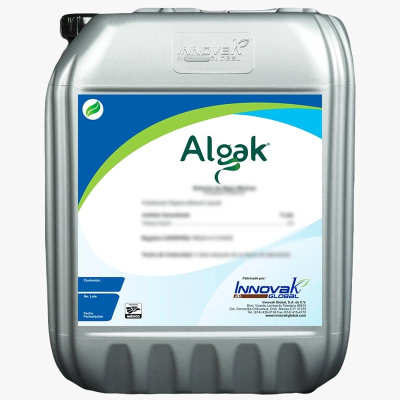 Algak Innovak Extracto de Algas para Cultivos | Nutricion Vegetal con Ascophyllum nodosum