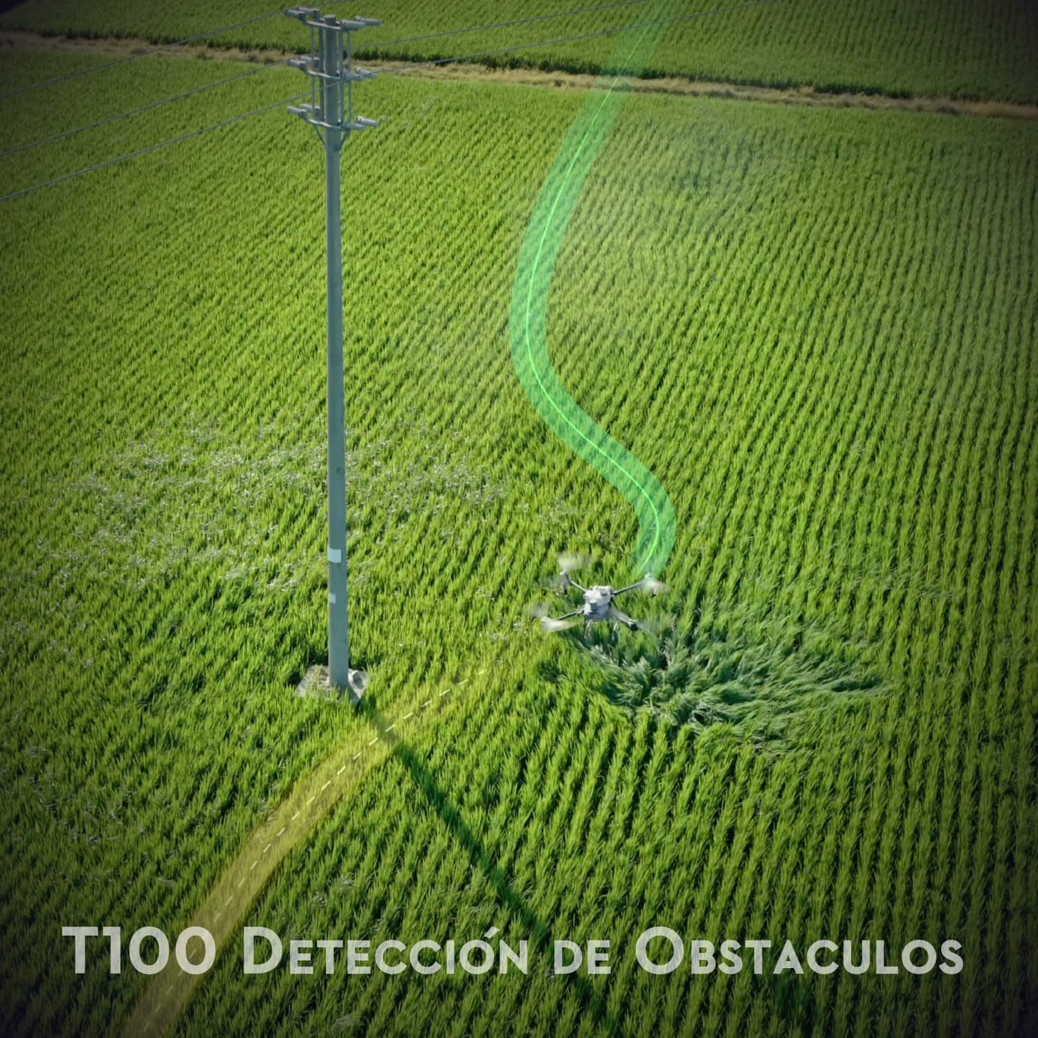 Dron agrícola DJI AGRAS T100 para grandes extensiones
