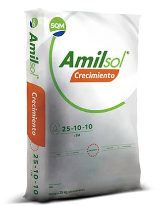 Fertilizante Amilsol Crecimiento | Etapa Vegetativa