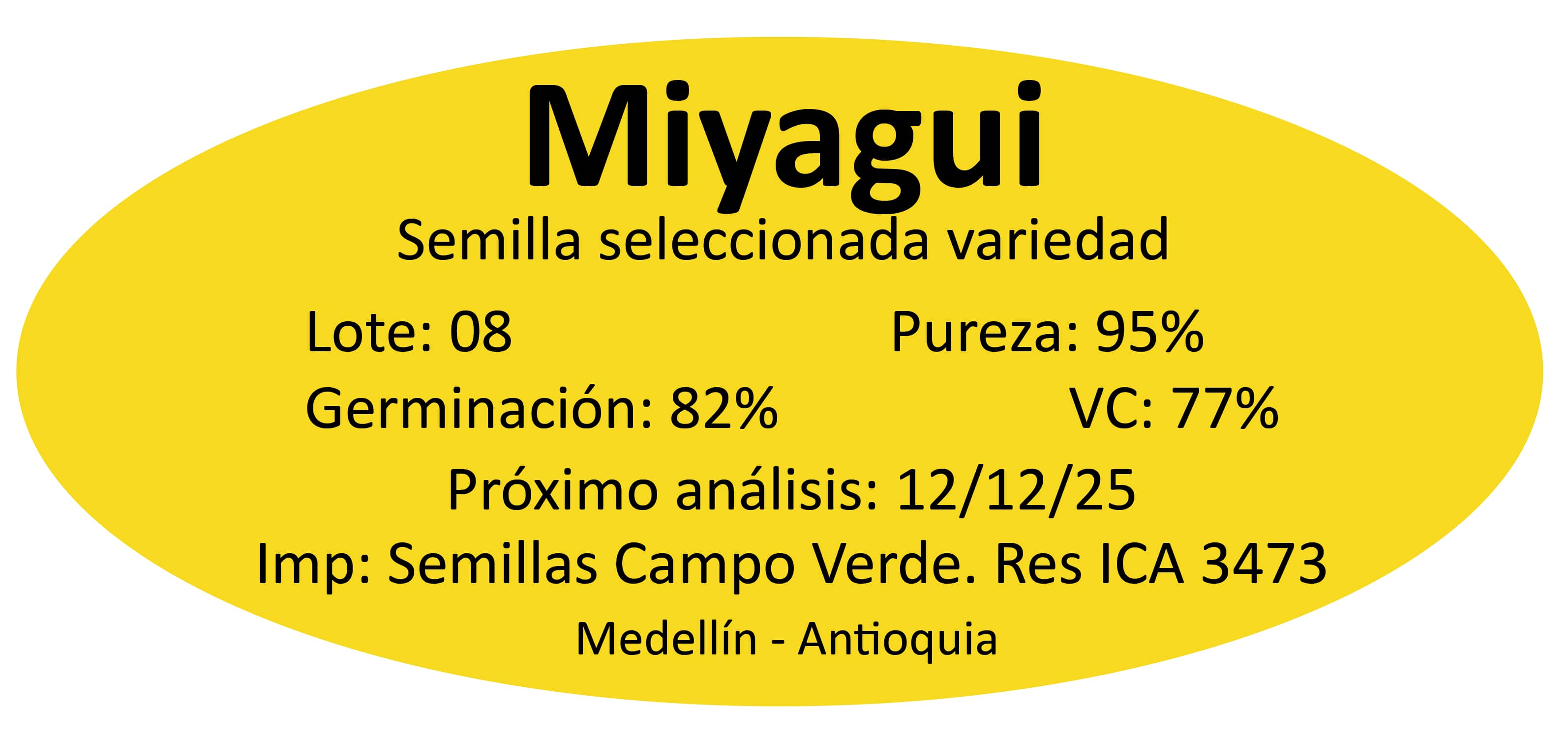Semilla de pasto Panicum Miyagui – Pureza 95% – VC 77% – Importada de Brasil