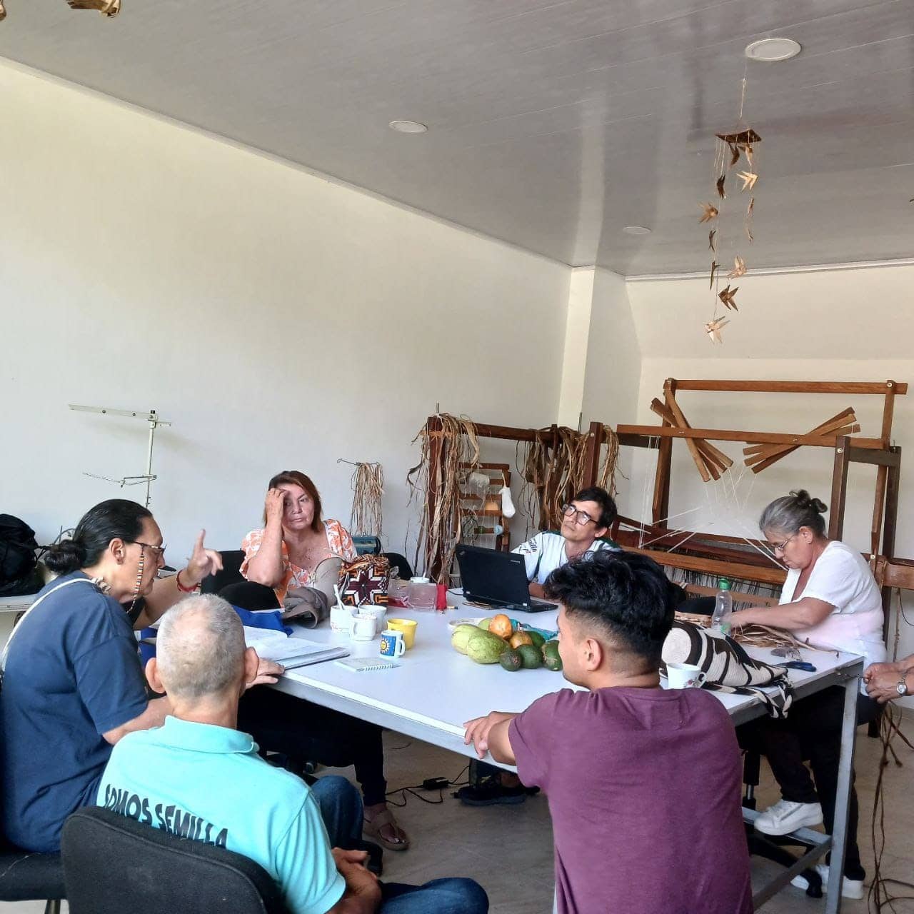 WhatsApp Image 2026-02-12 at 11.21.36 AM.jpeg