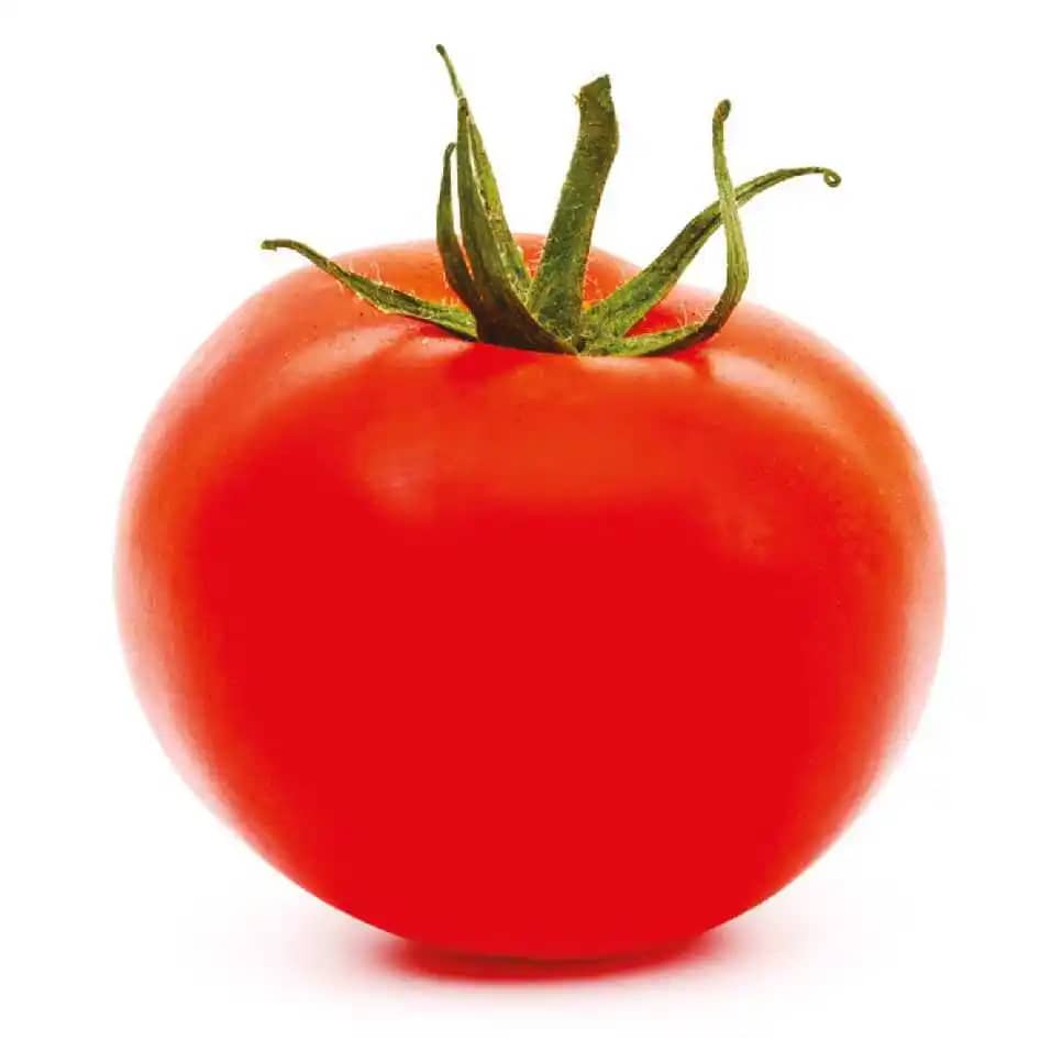 Semilla de Tomate Hibrido Corona x 1000 Uni - Impulsemillas