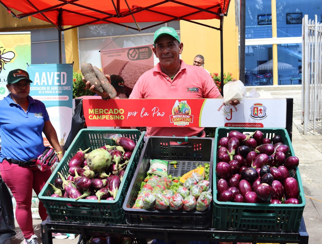 Mercado campesino.png