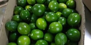 Citribetulia Limón Tahití