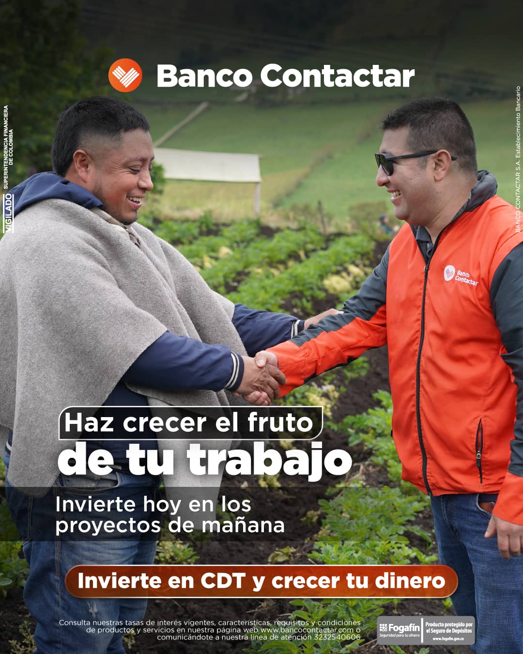 CDT Rural