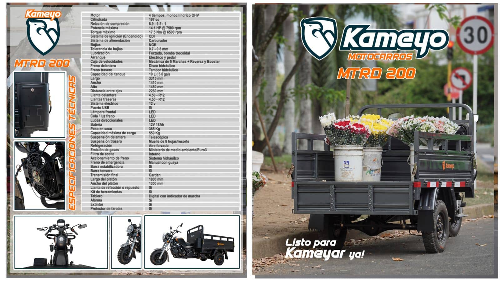 Motocarro de carga MTRD 200 | Potencia, carga y estabilidad