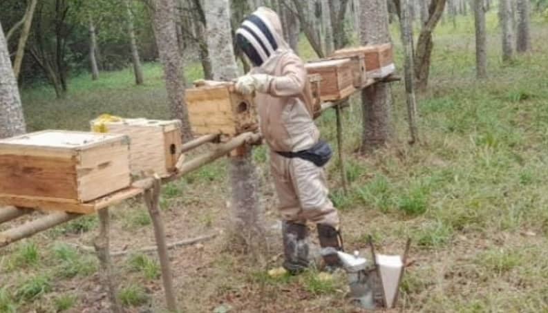 Captura de pantalla 2025-02-21 083604.png