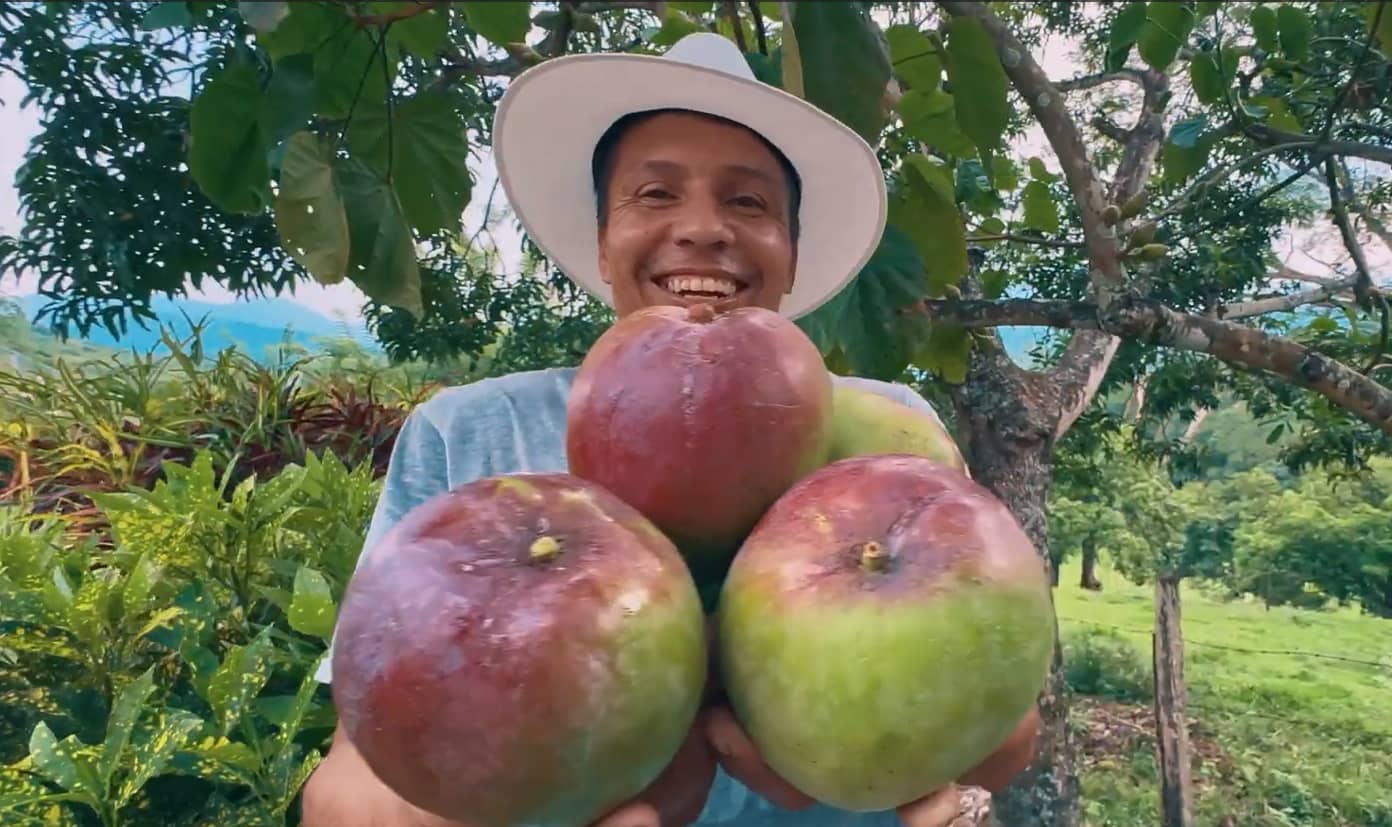 Mangos.png