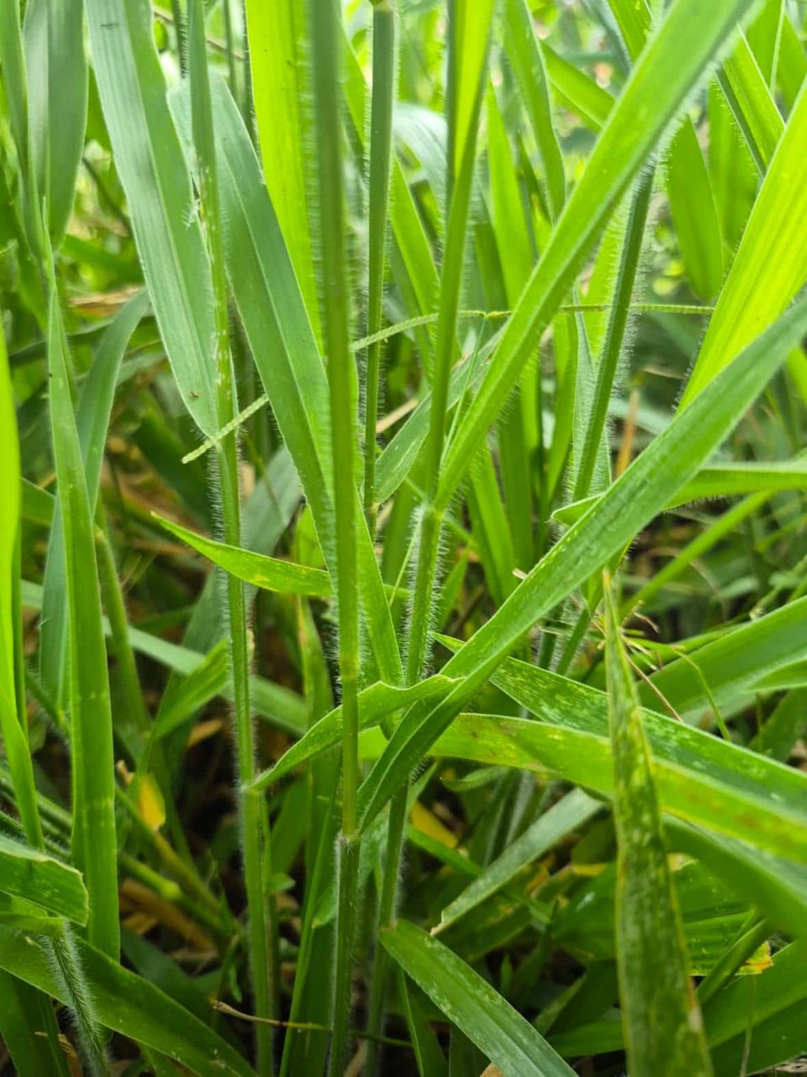 WhatsApp Image 2025-12-04 at 5.37.37 PM (4).jpeg