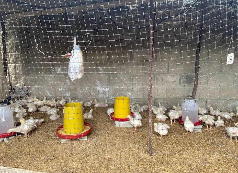 Captura de pantalla 2024-12-19 171516.png