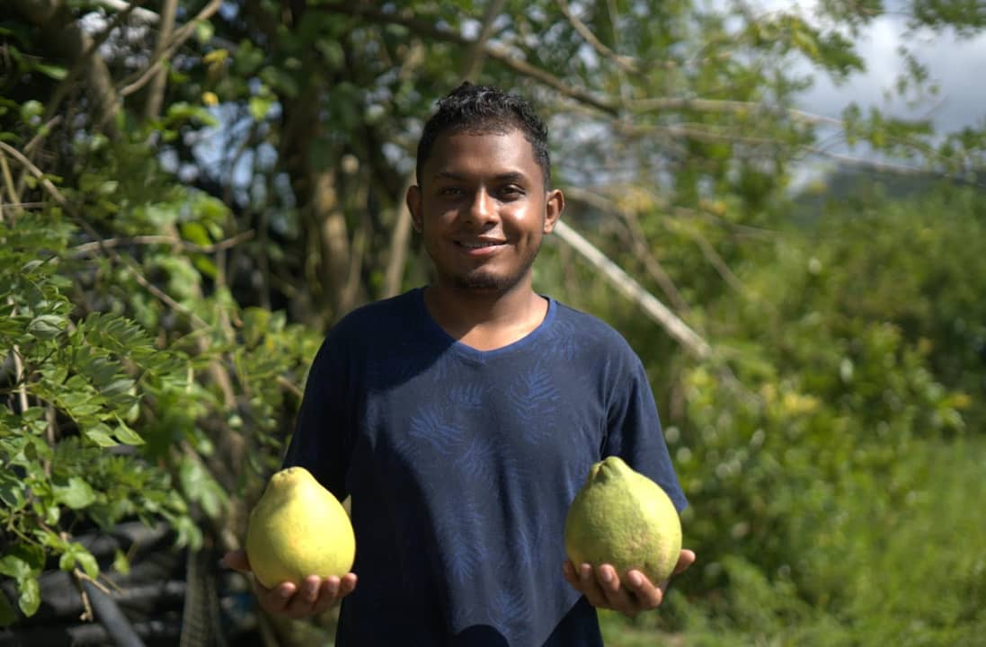 Captura de pantalla 2024-12-11 090531.png