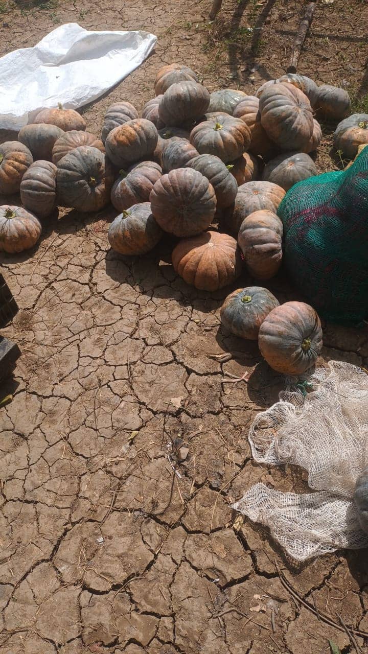 Imagen de WhatsApp 2025-02-21 a las 11.22.18_e21cf6d7.jpg