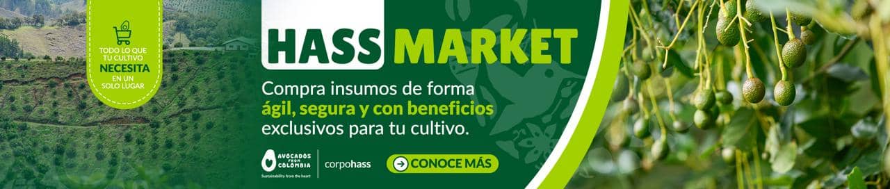 Hass Market