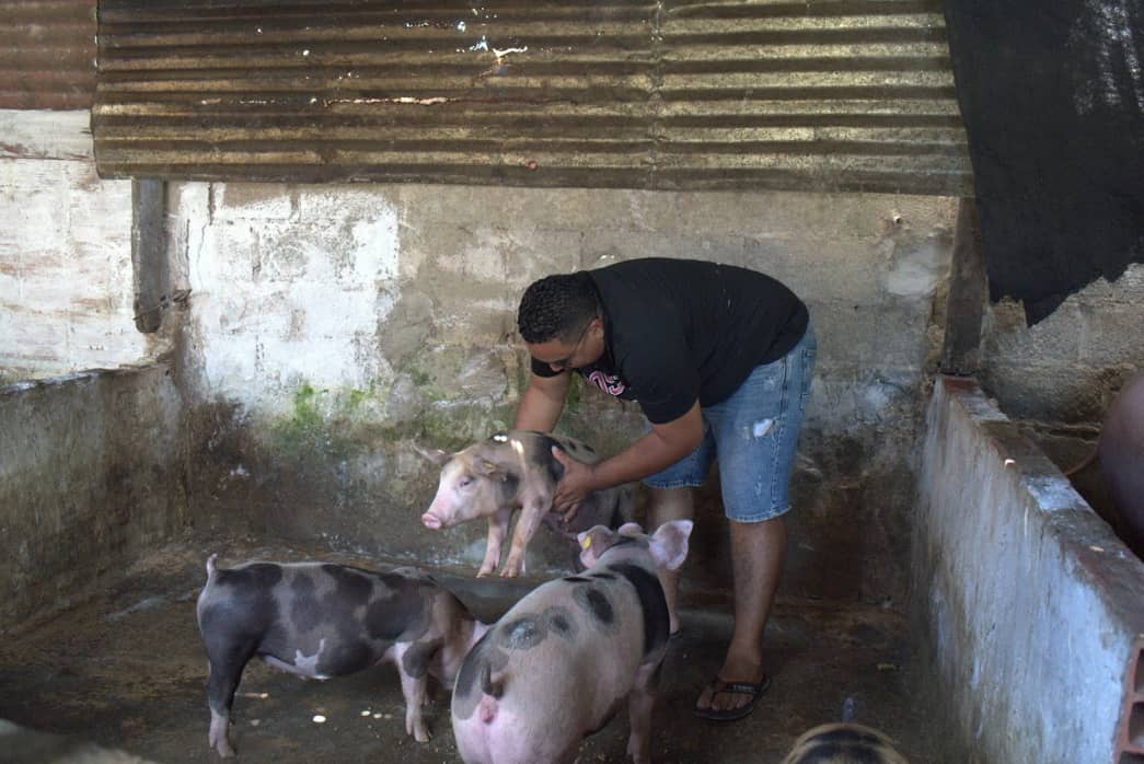 Captura de pantalla 2024-12-20 125145.png