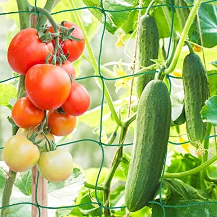 Malla Soporte para Plantas | Tutorado