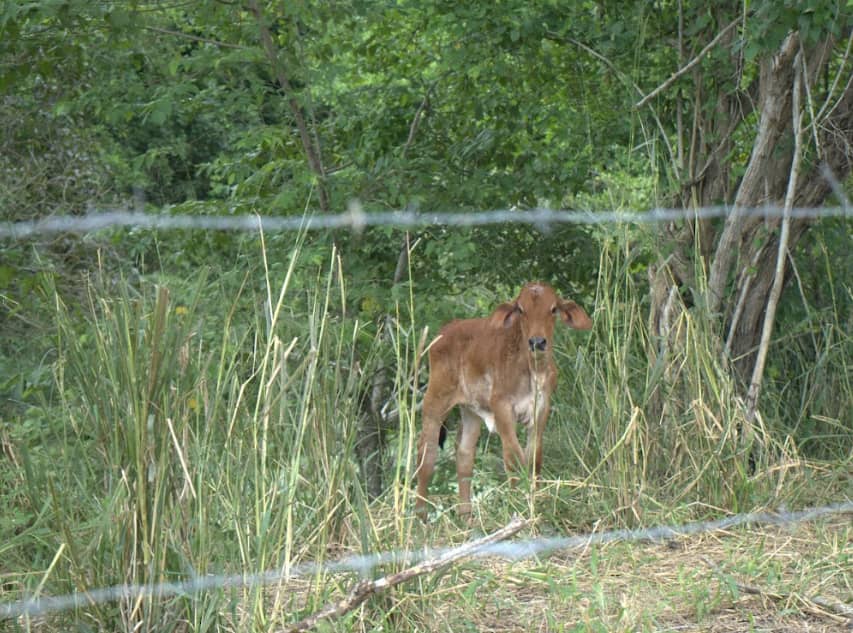 Captura de pantalla 2024-12-19 163744.png