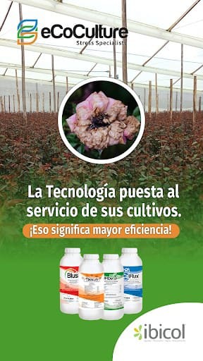 Fertilizante para manejo de estrés en plantas Tikkun x 250CC