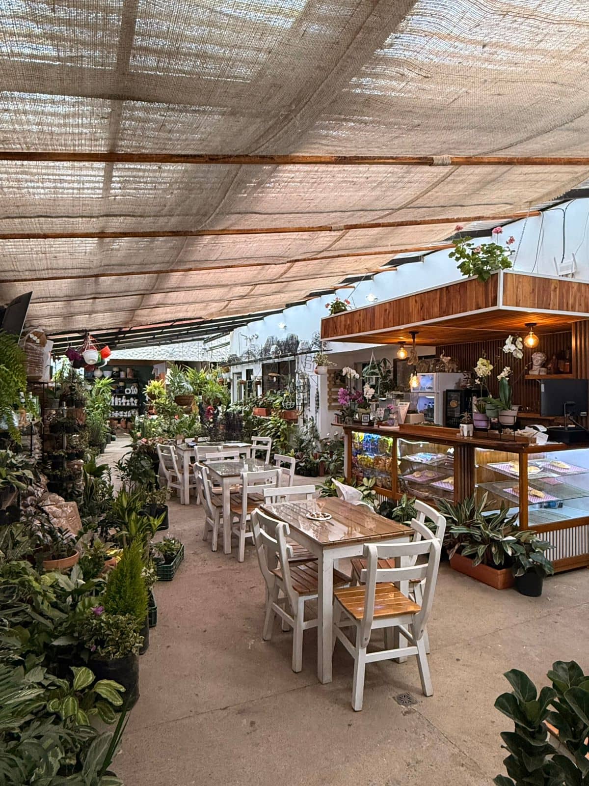 WhatsApp Image 2026-03-27 at 09.44.35.jpeg