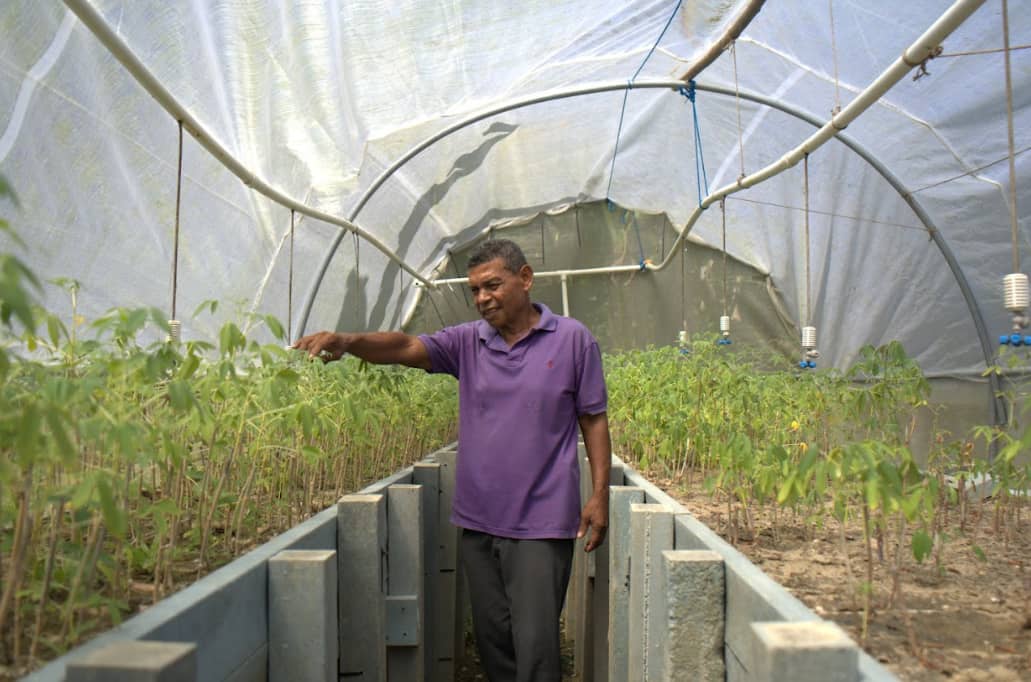 Captura de pantalla 2024-12-11 094710.png