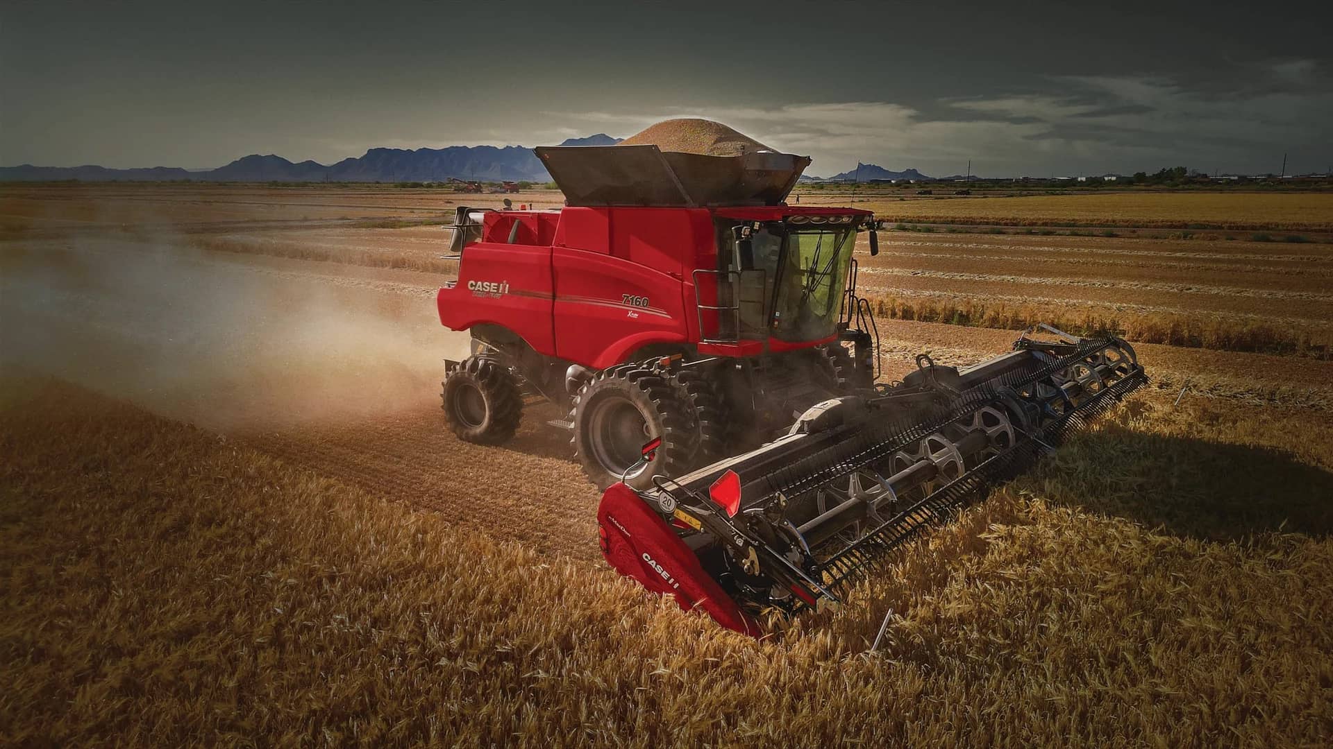 Combinada Axial-Flow 5160 Case IH — Cosecha eficiente para grandes superficies