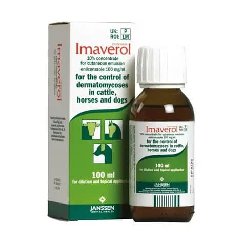 Imaverol 100 ml Elanco | Antimicótico veterinario de uso externo