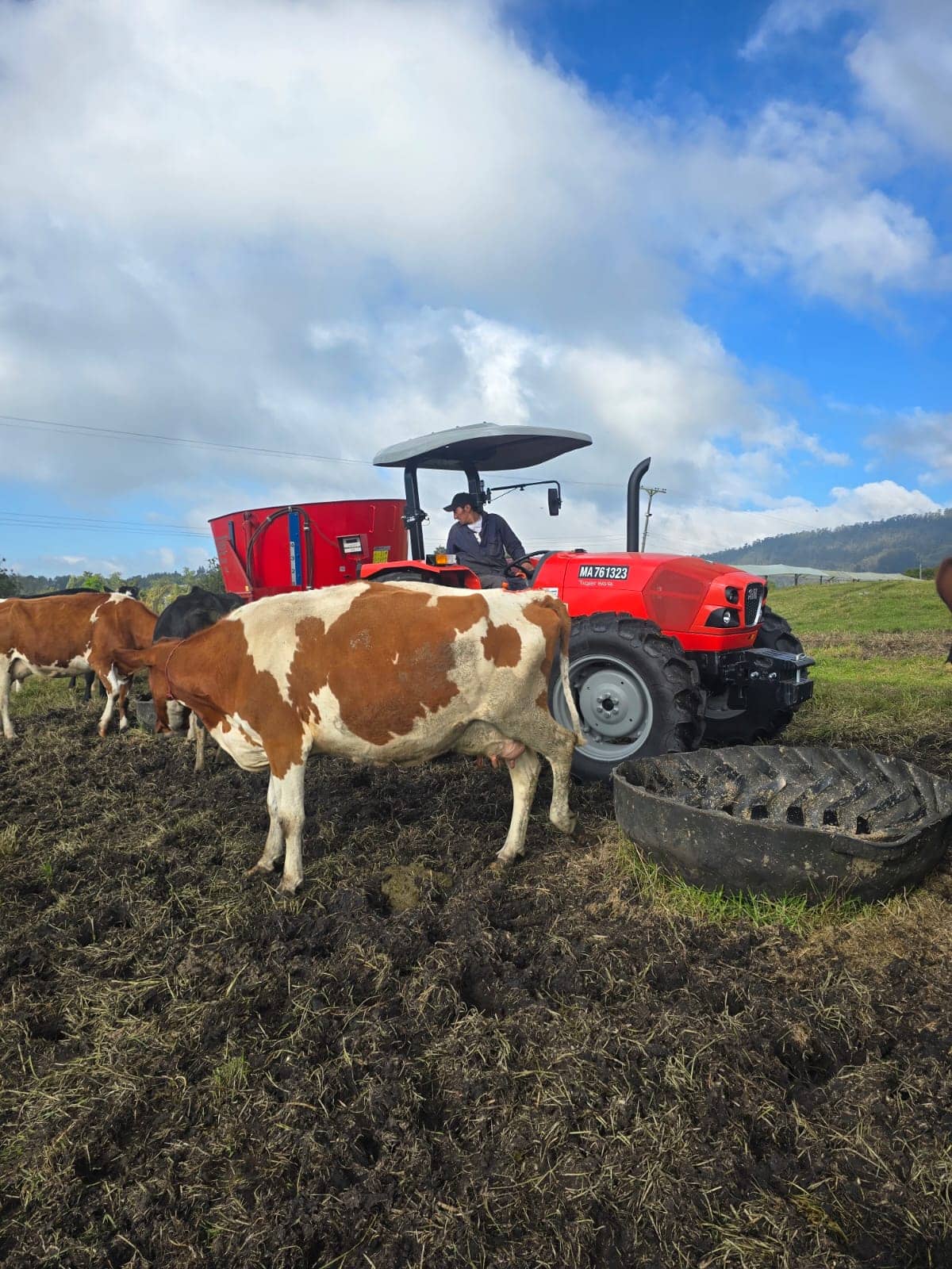 Tractor Agrícola Same TIGER 60 - 55 HP