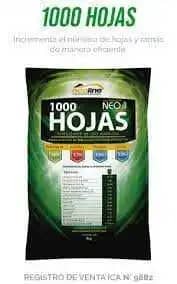 MIL HOJAS.jpg