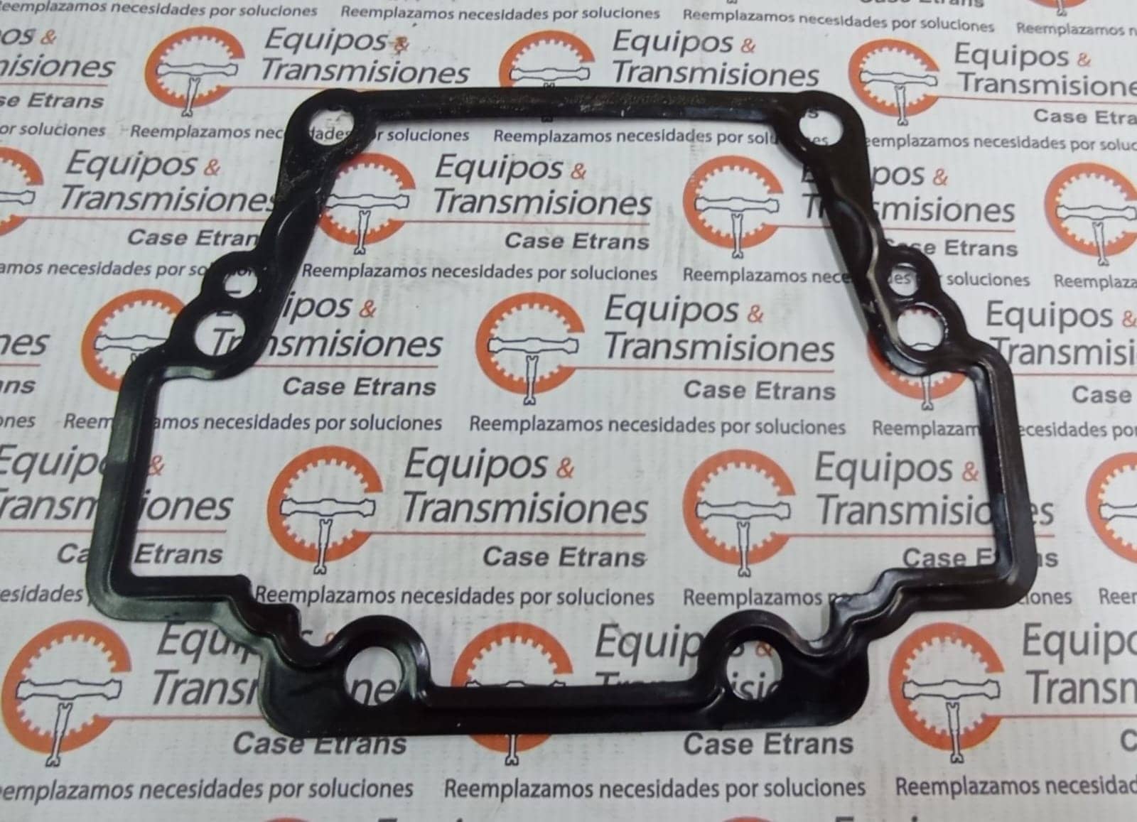 Empaquetadura - 1003413