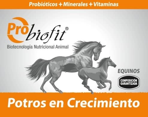 Probiofit Equinos - Potros en Crecimiento | Suplemento para un Crecimiento Saludable