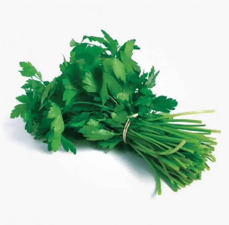 Semilla De Cilantro Verde (Hoja Ancha) x 454 Gr