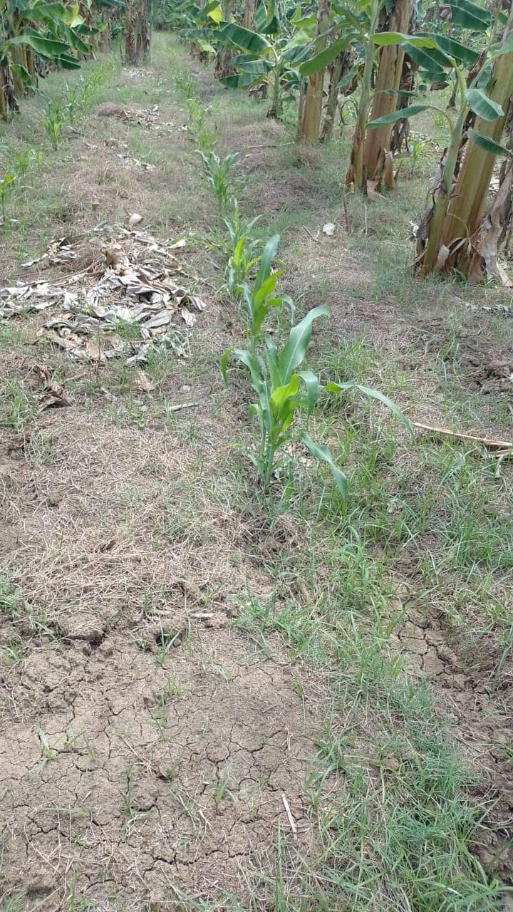 Imagen de WhatsApp 2025-02-21 a las 11.38.36_3240a97d.jpg