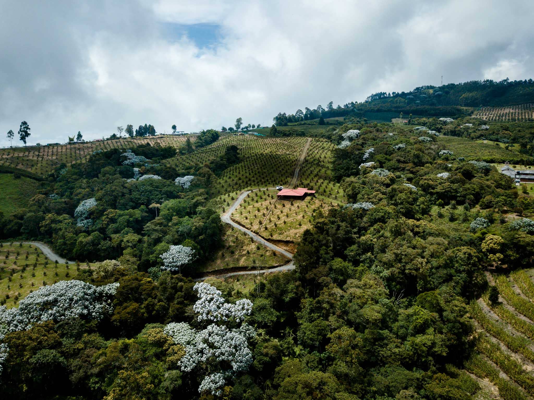 DJI_0210-Edit.jpg