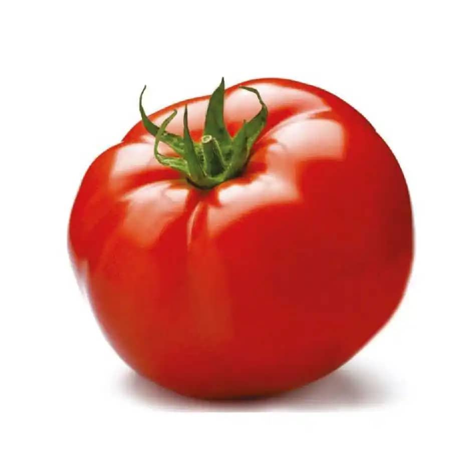 Semilla de Tomate Hibrido Lancero x 1000 Uni - Impulsemillas