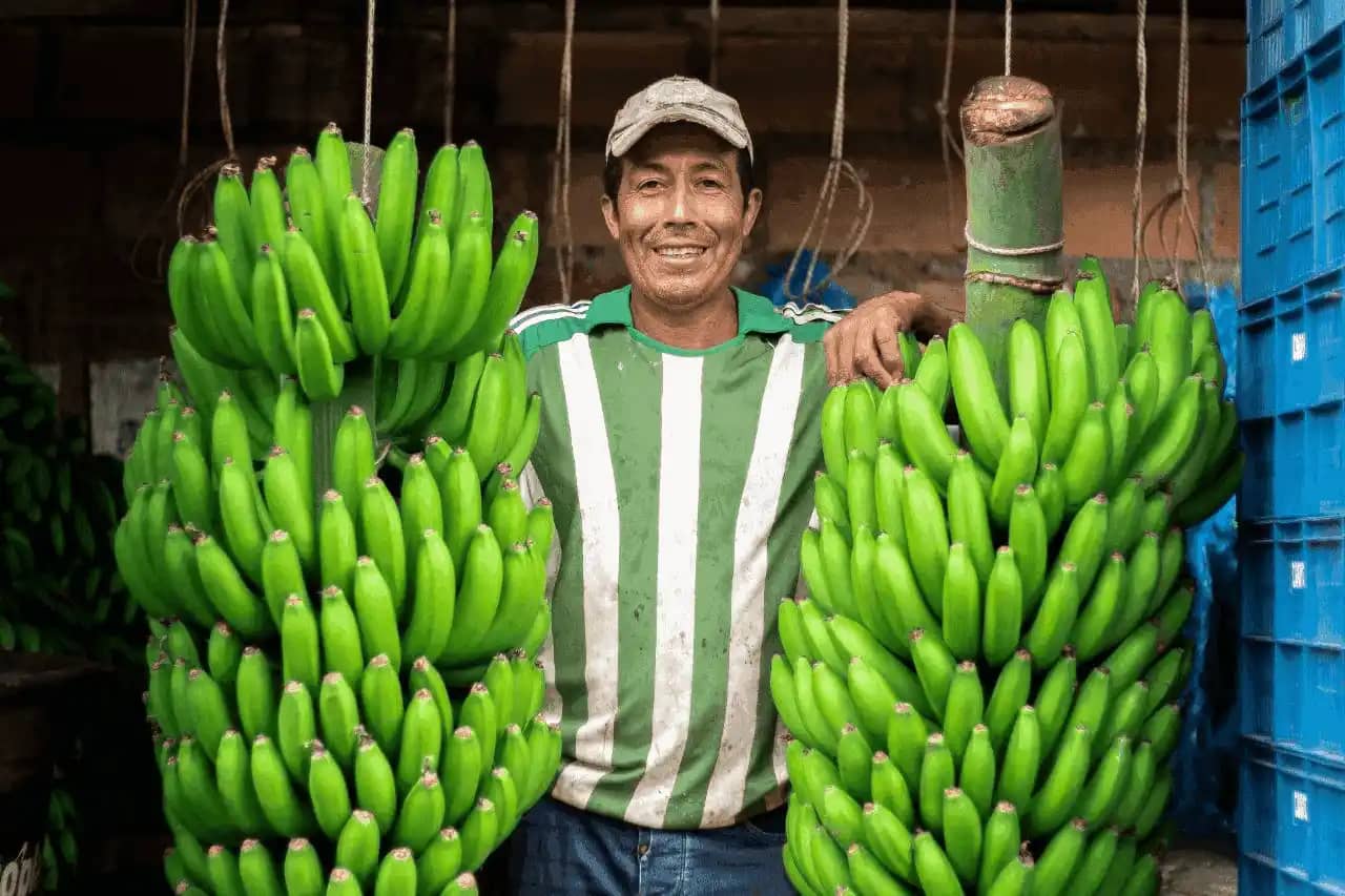 Productor asociado.png