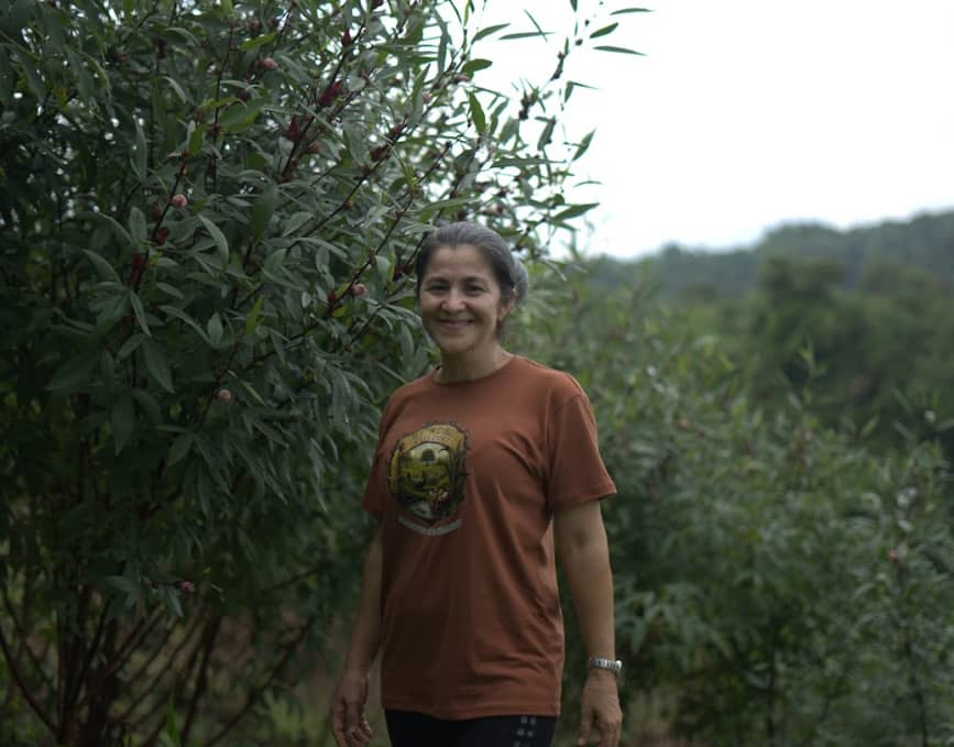 Captura de pantalla 2025-02-19 141701.png