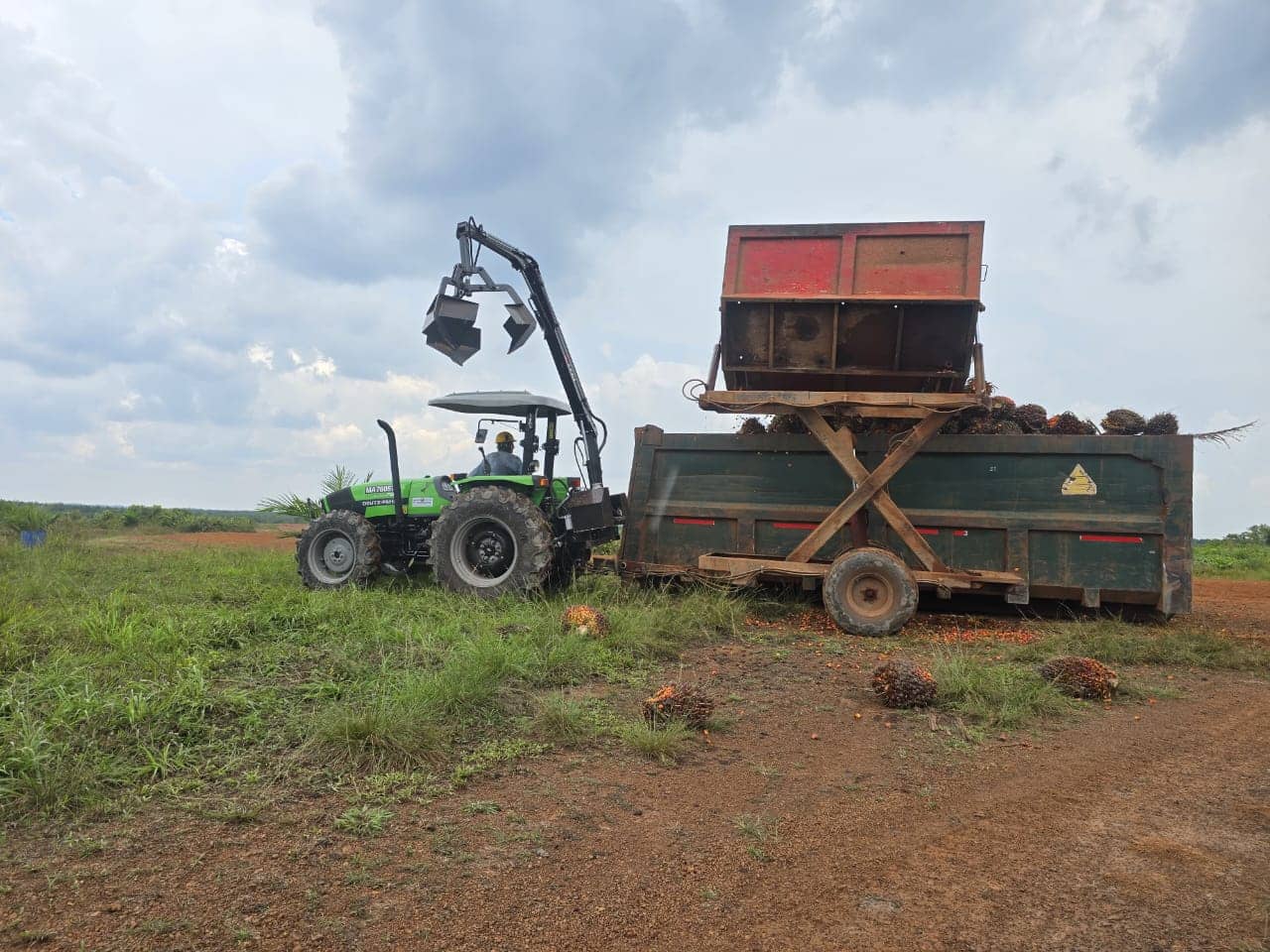 Grúa Grabber AC-80 para recolección de fruto de palma