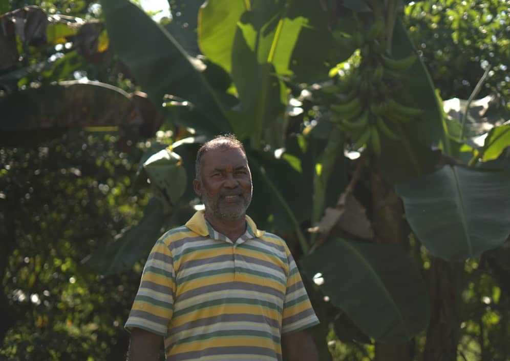 Luis Martin Sarmiento Lemus