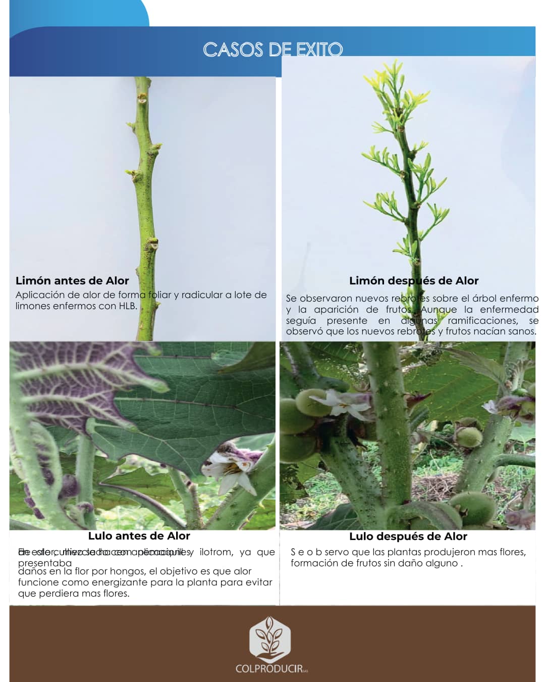 Diseño sin título.zip - 4.png