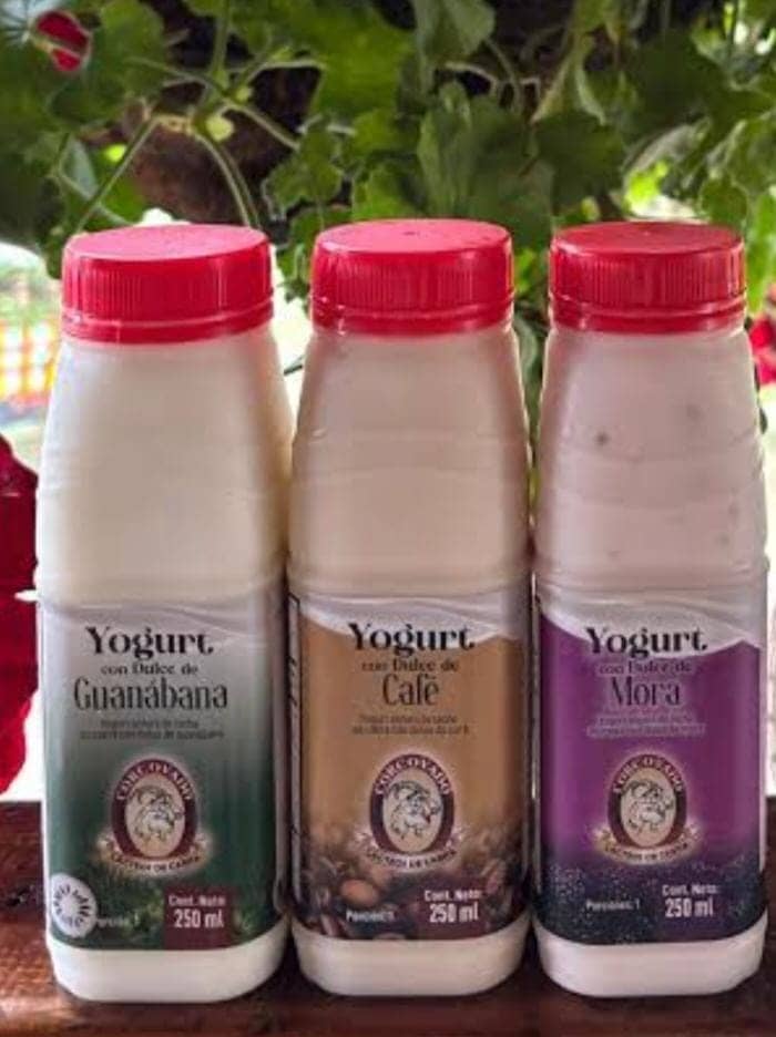 YOGURT de Leche de Cabra