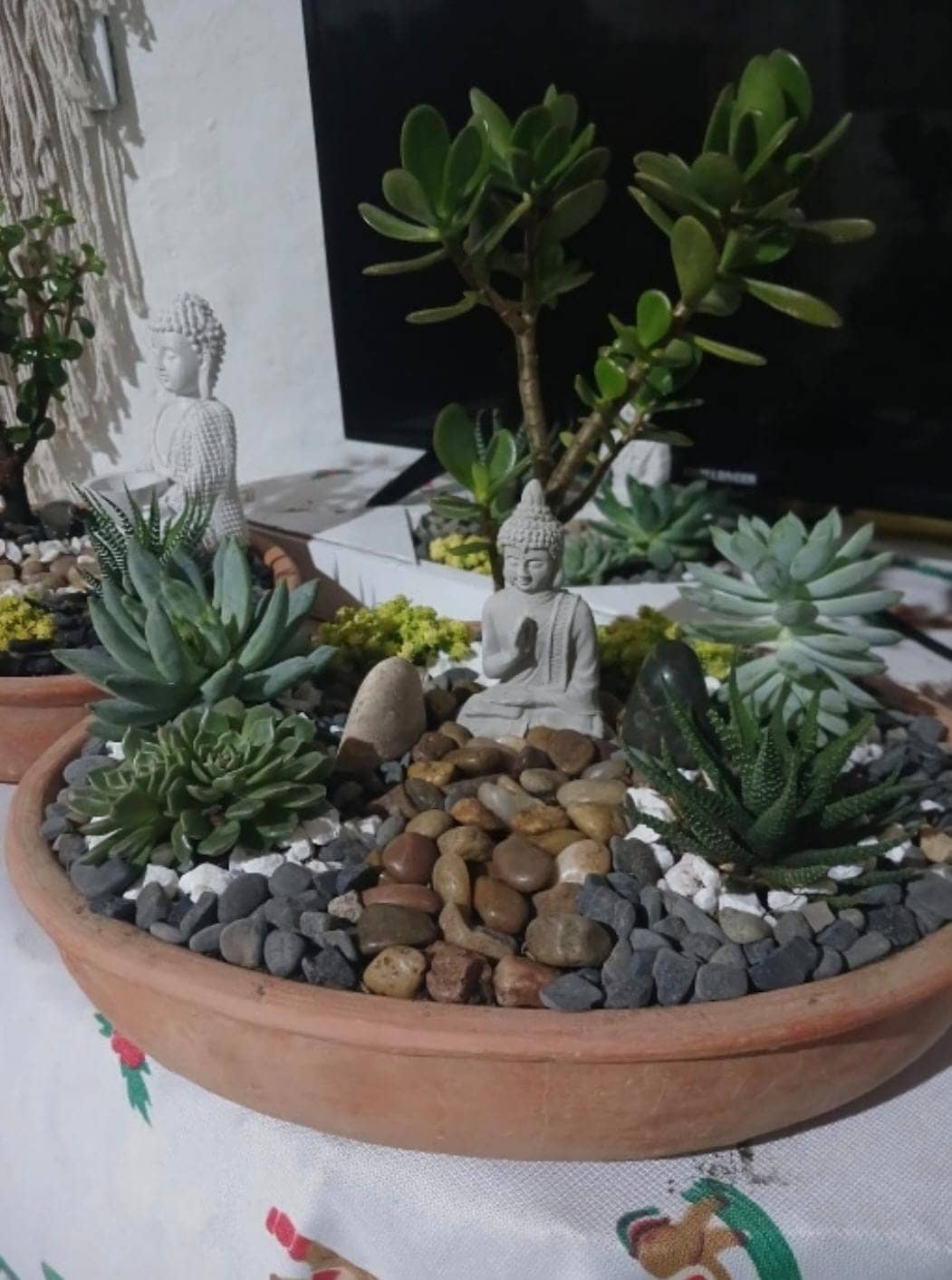 Plantas Ornamentales en Macetas Sostenibles - Simón Jardinero